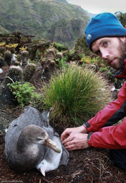 Conservation biologists nz